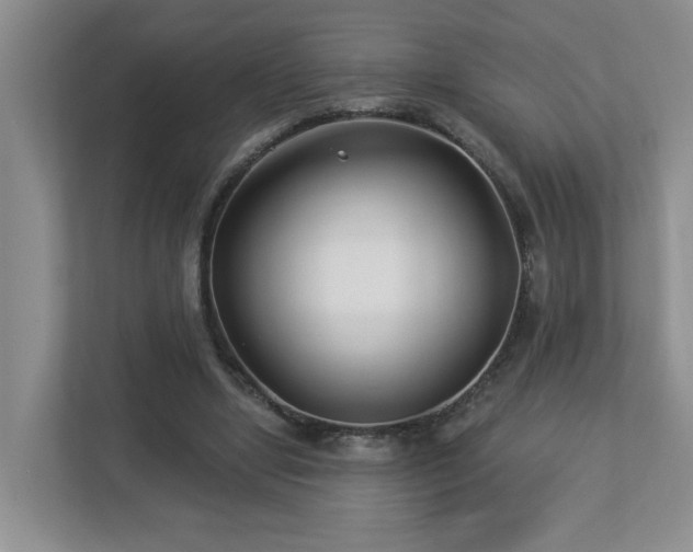 X0000112940442200908241323