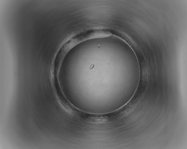 X0000112940443200908241323