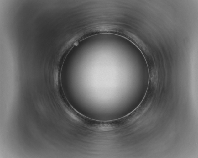 X0000112940445200908241323