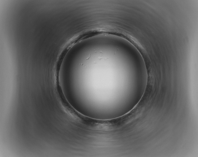 X0000112940446200908241323