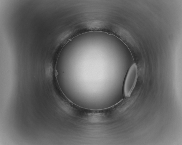 X0000112940448200908241323