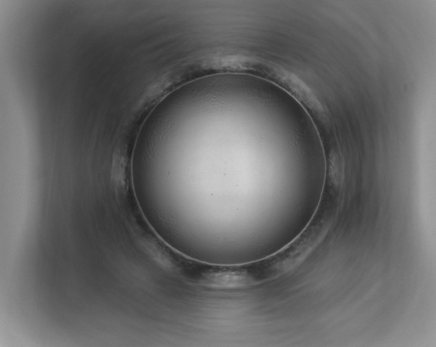 X0000112940449200908241324