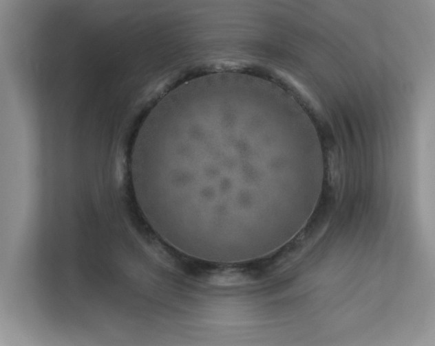 X0000112940451200908241324