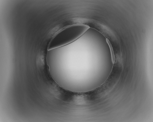 X0000112940452200908241324