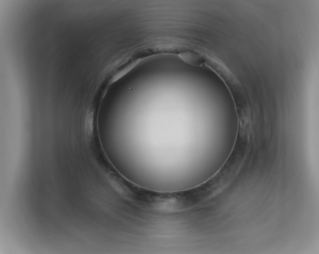 X0000112940454200908241324