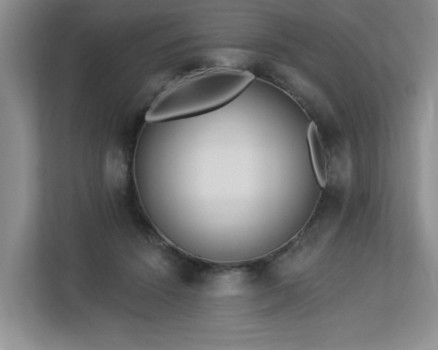 X0000112940456200908241324