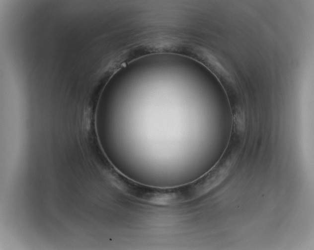 X0000112940458200908241324