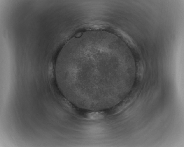 X0000112940465200908241324