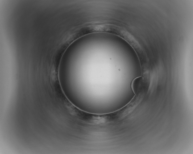 X0000112940469200908241324