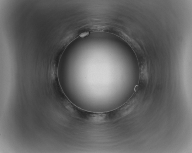 X0000112940474200908241324