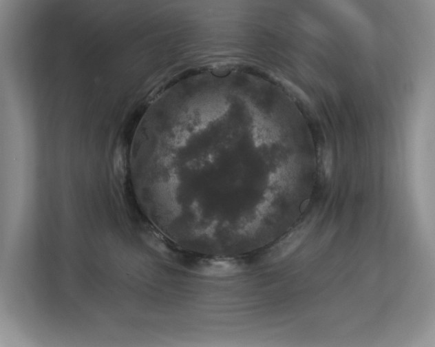 X0000112940475200908241324