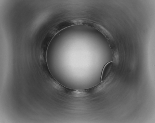 X0000112940477200908241324