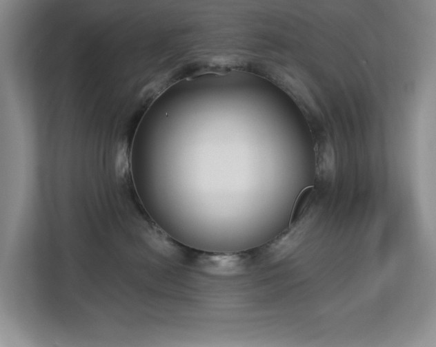 X0000112940478200908241324