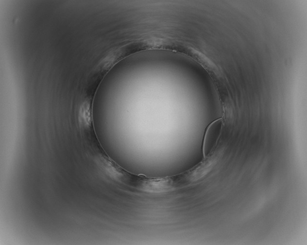 X0000112940479200908241324