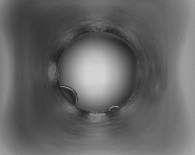 X0000112940480200908241324