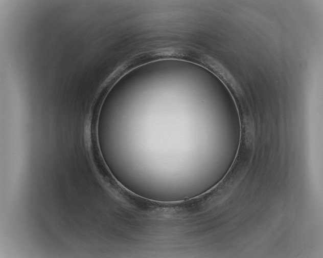 X0000112940482200908241323