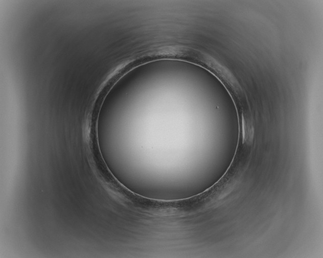 X0000112940483200908241323