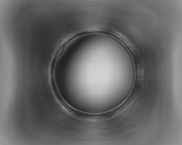 X0000112940485200908241323