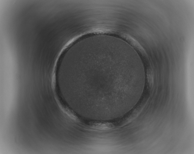 X0000112940488200908241323