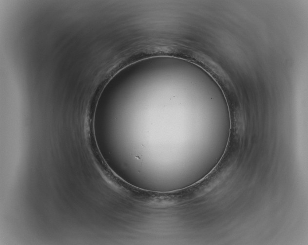 X0000112940489200908241323