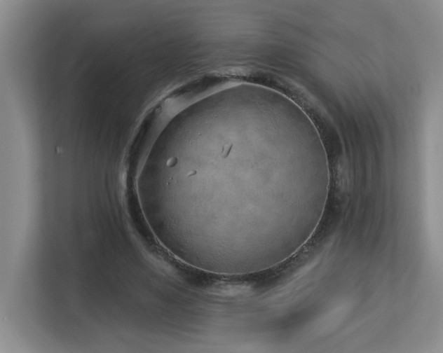 X0000112940491200908241323