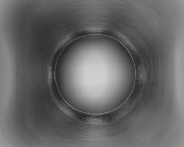 X0000112940494200908241323