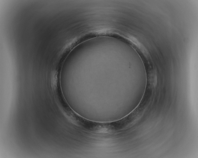 X0000112940495200908241323