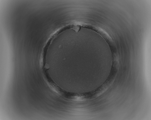X0000112940496200908241323