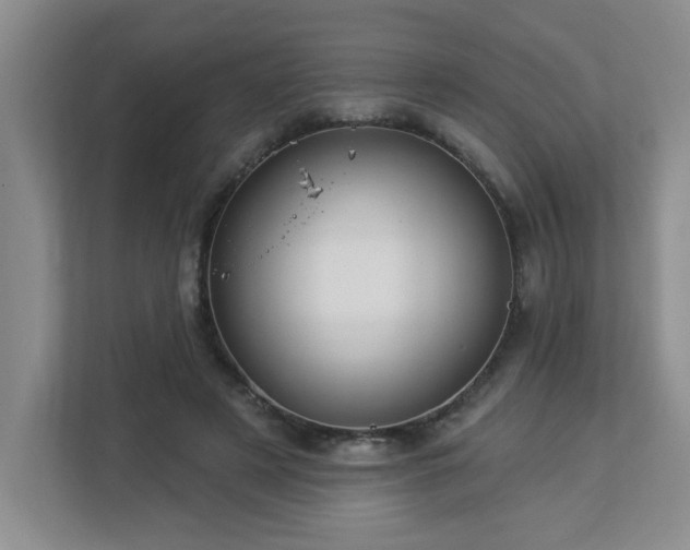 X0000112940497200908241323