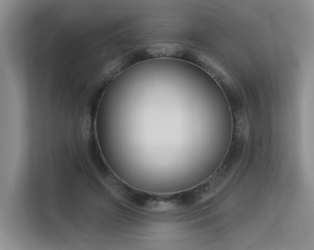 X0000112940498200908241323