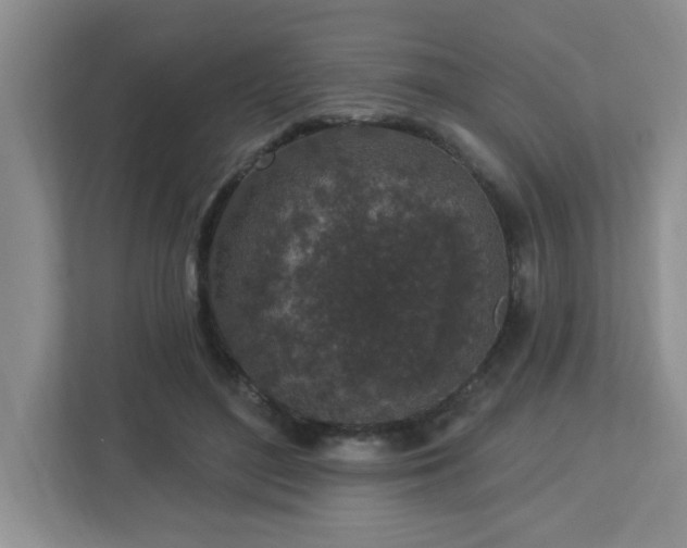 X0000112940500200908241323
