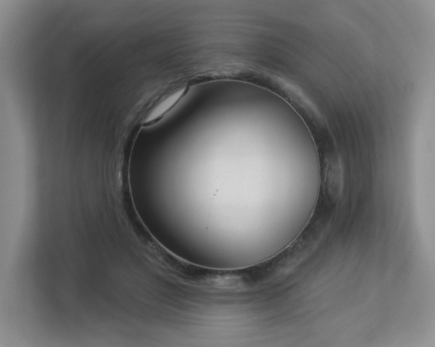 X0000112940501200908241323