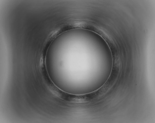X0000112940502200908241323