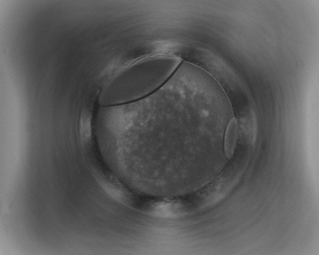 X0000112940504200908241323