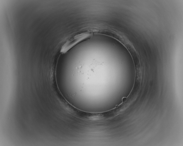 X0000112940505200908241323