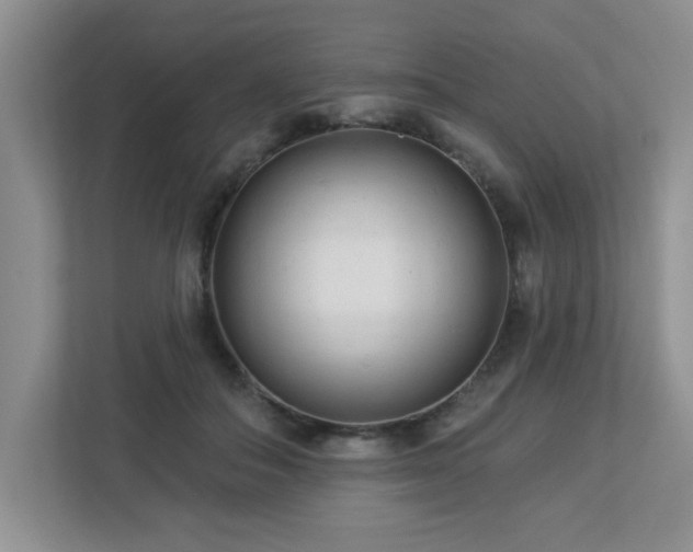 X0000112940506200908241323