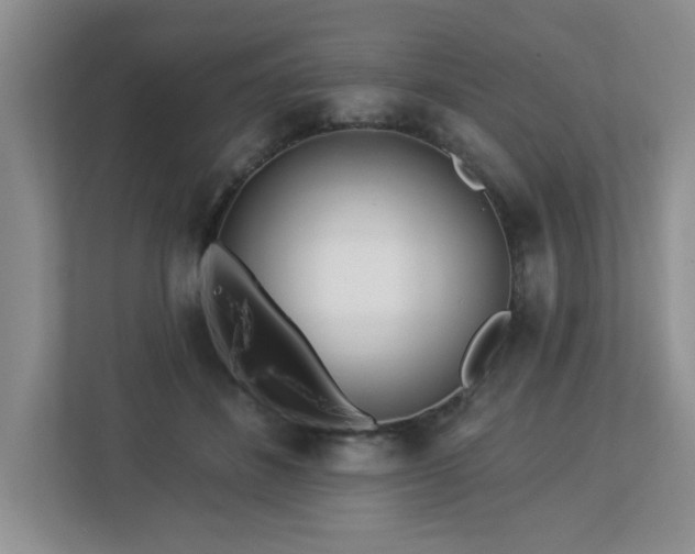 X0000112940508200908241323