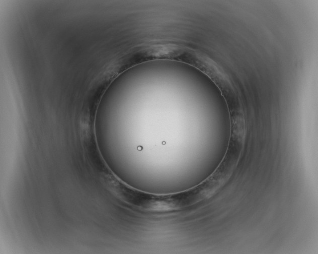X0000112940510200908241323