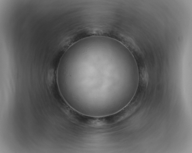 X0000112940511200908241323