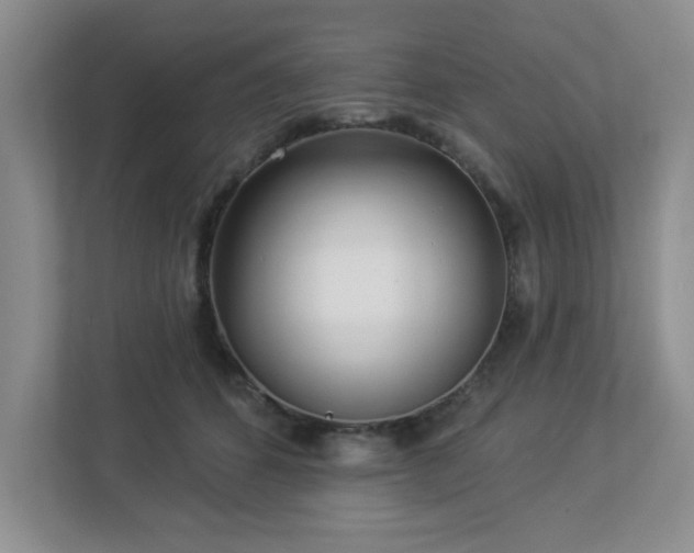 X0000112940512200908241323
