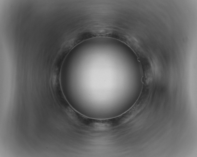 X0000112940515200908241323