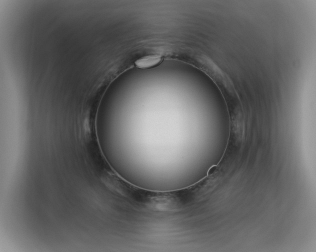 X0000112940516200908241323