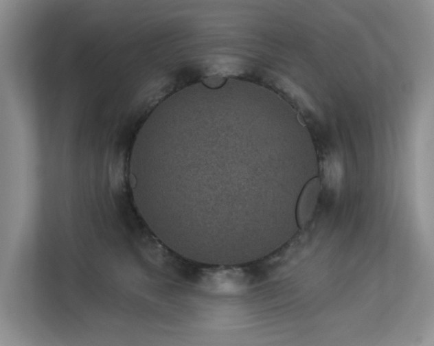 X0000112940517200908241323