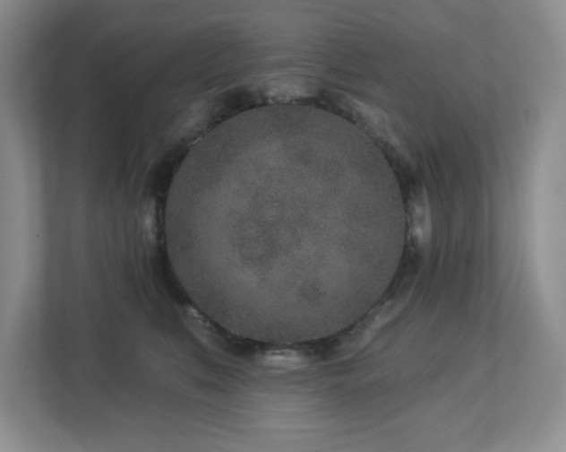 X0000112940519200908241323