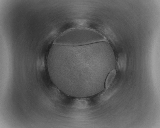X0000112940520200908241323