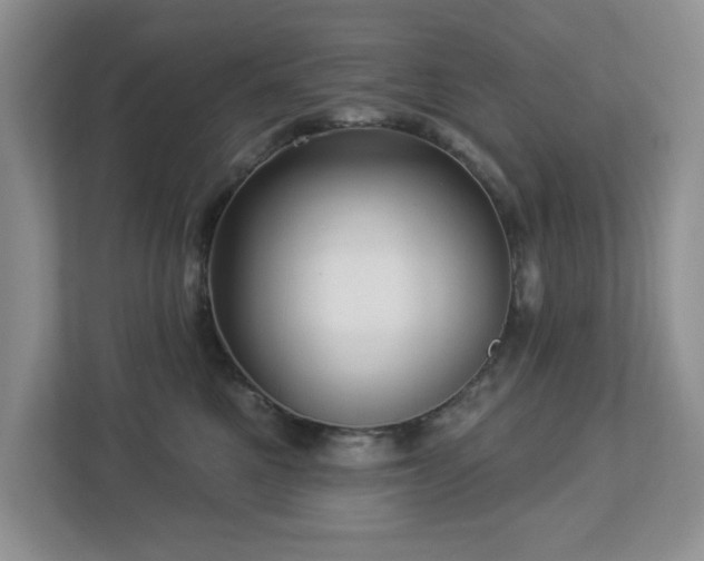 X0000112940521200908241323