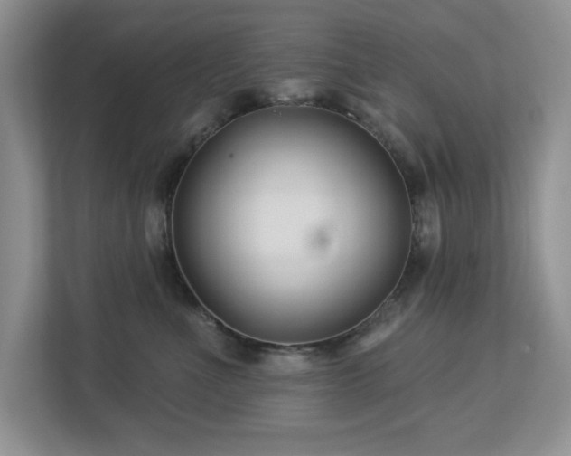 X0000112940523200908241323