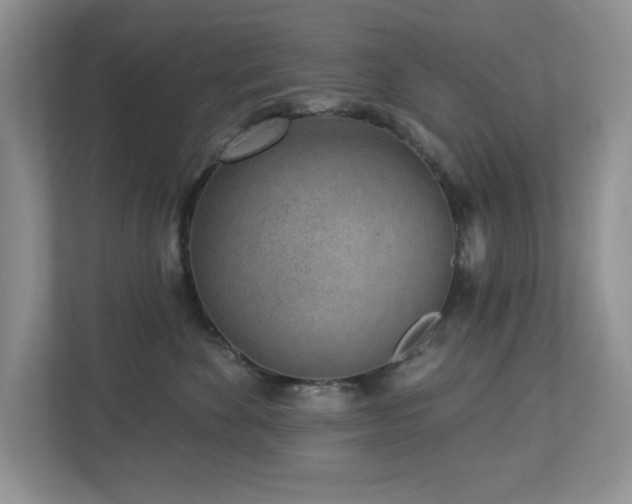 X0000112940524200908241323