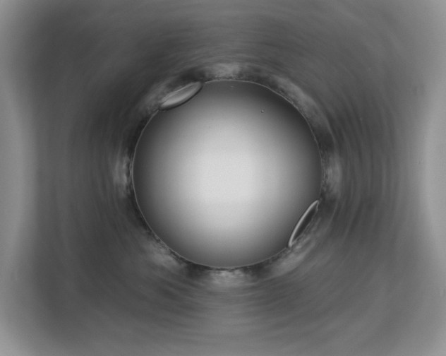 X0000112940525200908241323