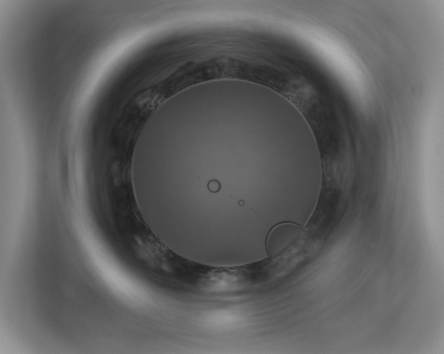 X0000112940526200908241323